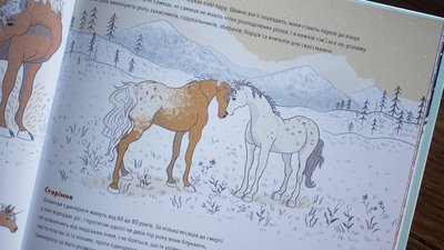 Розсекречене життя єдинорогів. Як з'явилась мода на кислотні кольори і чарівних конячок Розсекречене життя єдинорогів. Як з'явилась мода на кислотні кольори і чарівних конячок