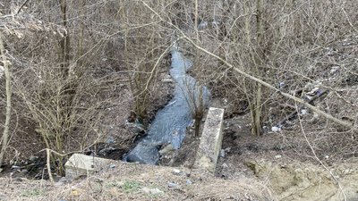 У Полтаві забруднюють Пушкарівські ставки: хто до цього причетний У Полтаві забруднюють Пушкарівські ставки: хто до цього причетний