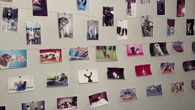 Не міг залишити в окупації, не планує й зараз, під постійними обстрілами. Історія херсонського ветеринара Не міг залишити в окупації, не планує й зараз, під постійними обстрілами. Історія херсонського ветеринара
