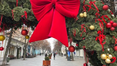 Житомир, погода, природа, грудень 2025 року
