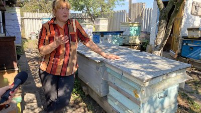 Жителька бджолярство бджоли мед село Червоне Донецька область Жителька бджолярство бджоли мед село Червоне Донецька область