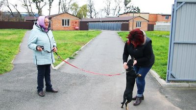 Двадцятьом тваринам знайшли господарів: як у вінницькому притулку доглядають за собаками-переселенцями Двадцятьом тваринам знайшли господарів: як у вінницькому притулку доглядають за собаками-переселенцями
