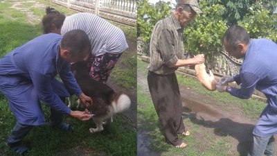 Від сказу вакцинують котів, собак та свійських тварин Від сказу вакцинують котів, собак та свійських тварин