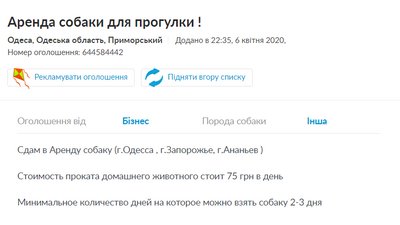 Оренда собак Оренда собак