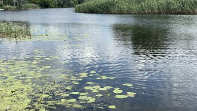 Вода
