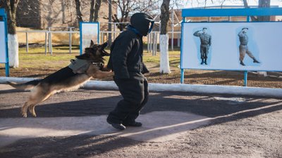 У військовій частині 3039, що дислокується в Миколаєві, несуть службу 13 собак У військовій частині 3039, що дислокується в Миколаєві, несуть службу 13 собак