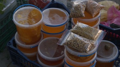 Житомир, Житній ринок, ціни, мед, продукти бджільництва, 21 серпня 2025 року