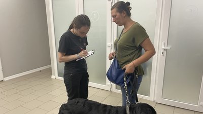 Ветеринари з Одеси надають медичну допомогу евакуйованим тваринам в Херсоні Ветеринари з Одеси надають медичну допомогу евакуйованим тваринам в Херсоні