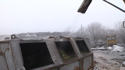 Тріски роздають всім охочим безкоштовно Тріски роздають всім охочим безкоштовно