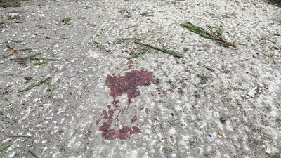 термінова новина