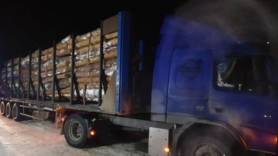 На Волині поліцейські вилучили соснові колоди та дубові дошки На Волині поліцейські вилучили соснові колоди та дубові дошки