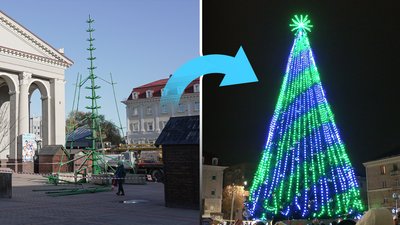 Як жителі Рівного реагують на встановлення ялинки у центрі міста