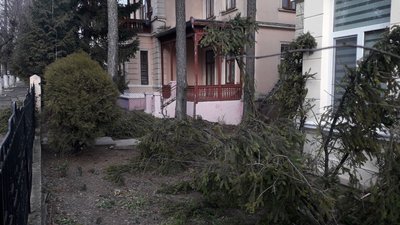 Повалені дерева та зірваний дах. Які наслідки негоди на Буковині Повалені дерева та зірваний дах. Які наслідки негоди на Буковині