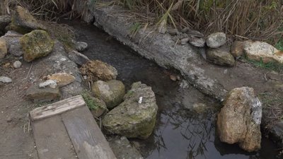 Вміст цинку та свинцю у воді Куяльницького лиману на Одещині перевищує норму у п’ять разів Вміст цинку та свинцю у воді Куяльницького лиману на Одещині перевищує норму у п’ять разів