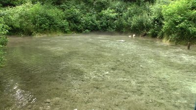 Прозорі водойми та мальовничі краєвиди. Де відпочити на Сумщині