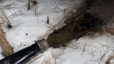 На Волині розслідують справу щодо зливу нечистот з птахофабрики