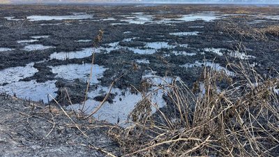 Торф залитий водою в Одесі