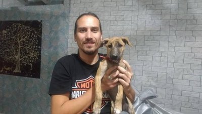 Гампі та Олександр в Індії Гампі та Олександр в Індії