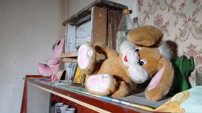 4-річна дівчинка з Полтавщини, яку залишили саму вдома, нині у лікарні у задовільному стані