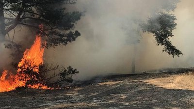 До гасіння лісових пожеж на Херсонщині долучаються місцеві жителі