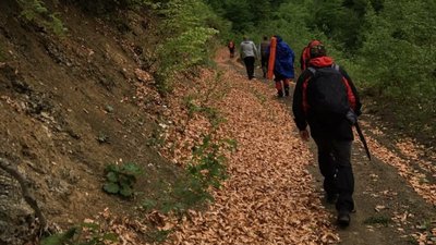 Прикарпатські рятувальники допомогли туристці з Київщини, яка травмувала ногу в Карпатах Прикарпатські рятувальники допомогли туристці з Київщини, яка травмувала ногу в Карпатах