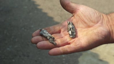 Внаслідок обстрілу Новомихайлівки пошкоджена лінія електропередач