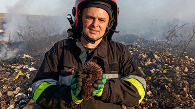 На Тернопільщині, врятували тварин, рятувальники, їжак, кіт, ДСНС