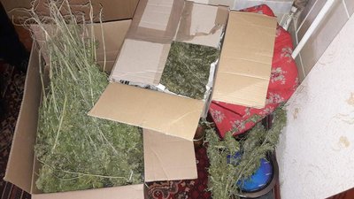 На Житомирщині поліція вилучила у чоловіка майже 2 кілограми коноплі