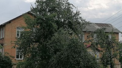 Вітер зірвав покрівлю на школі. Її тимчасово закрили листом металу