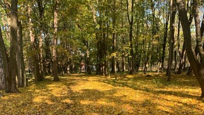 Парк імені Михайла Чекмана у Хмельницькому, жовтень 2025 року