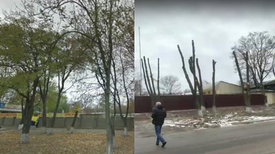 Мерія Одеси звинуватила мережу супермаркетів у знищенні дерев