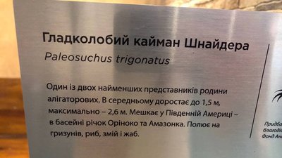 Четвертий день у тераріумі в Ужгороді живе крокодил Четвертий день у тераріумі в Ужгороді живе крокодил
