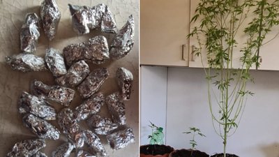 Підозрюваного у збуті наркотиків ужгородця взяли під варту із можливістю внесення застави
