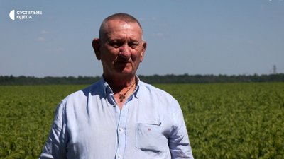 Брак співробітників та стислі терміни: на Одещині тривають жнива Брак співробітників та стислі терміни: на Одещині тривають жнива