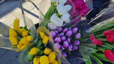 свято, 8 березня, експерт, історія, традиція, Житомир