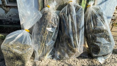 У Миколаєві затримали жінку та чоловіка за підозрою у збуті наркотиків У Миколаєві затримали жінку та чоловіка за підозрою у збуті наркотиків