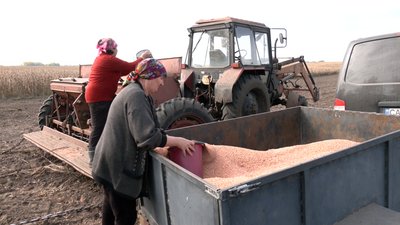 Посівна здорожчала