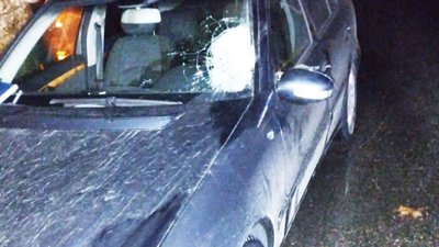 У Миколаєві внаслідок ДТП загинув пішохід — 
 Нацполіція