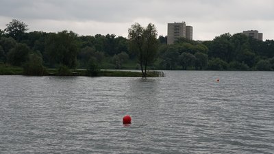 У Сумах відбувся чемпіонат міста з плавання на відкритій воді