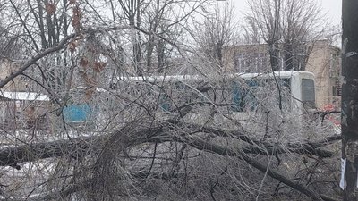 Падали дерева, зупинились тролейбуси, ожеледиця на дорогах: наслідки негоди у Херсоні Падали дерева, зупинились тролейбуси, ожеледиця на дорогах: наслідки негоди у Херсоні