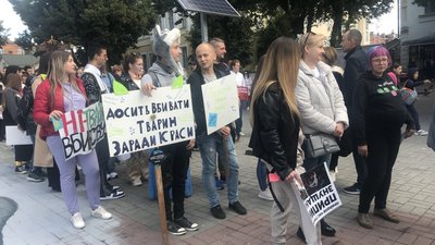 "Захист слабких — справа сильних!". У Вінниці відбувся марш за права тварин