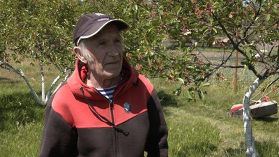 Від війни – у віддалене село на Волині: історії переселенців, які повернулися в батьківські оселі Від війни – у віддалене село на Волині: історії переселенців, які повернулися в батьківські оселі