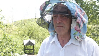 По сусідству з хижаками: що відбувається в прикарпатських селах, де фіксують напади ведмедів По сусідству з хижаками: що відбувається в прикарпатських селах, де фіксують напади ведмедів