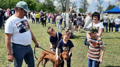 Афганська борза, великий вандейський грифон, ріджбек. У Кропивницький приїхали позмагатися понад 300 собак Афганська борза, великий вандейський грифон, ріджбек. У Кропивницький приїхали позмагатися понад 300 собак