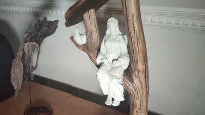 Пенсіонер з Тернопільщини займається коренепластикою Пенсіонер з Тернопільщини займається коренепластикою