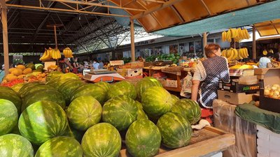 Як вінничанам обрати безпечний кавун на ринку