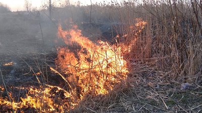 На Полтавщині у пожежі згоріла пенсіонерка