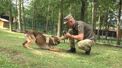 У Хмельницькому кінологи втілюватимуть нову методику дресирування У Хмельницькому кінологи втілюватимуть нову методику дресирування
