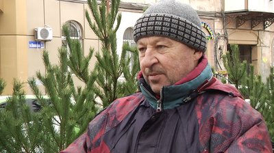 В Одесі розпочали продаж ялинок: ціна від 150 гривень