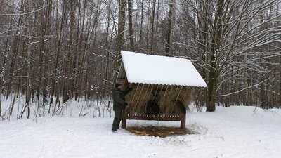 Понад дві сотні підгодівельних комплексів для диких тварин облаштували в лісництвах Житомирщини Понад дві сотні підгодівельних комплексів для диких тварин облаштували в лісництвах Житомирщини